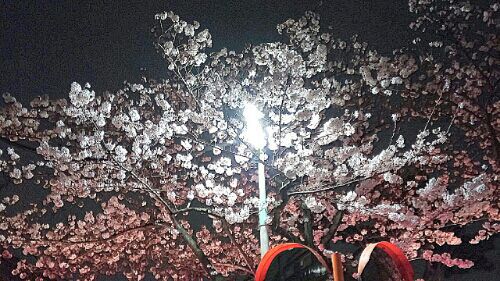 rblog-20180328183908-01.jpg