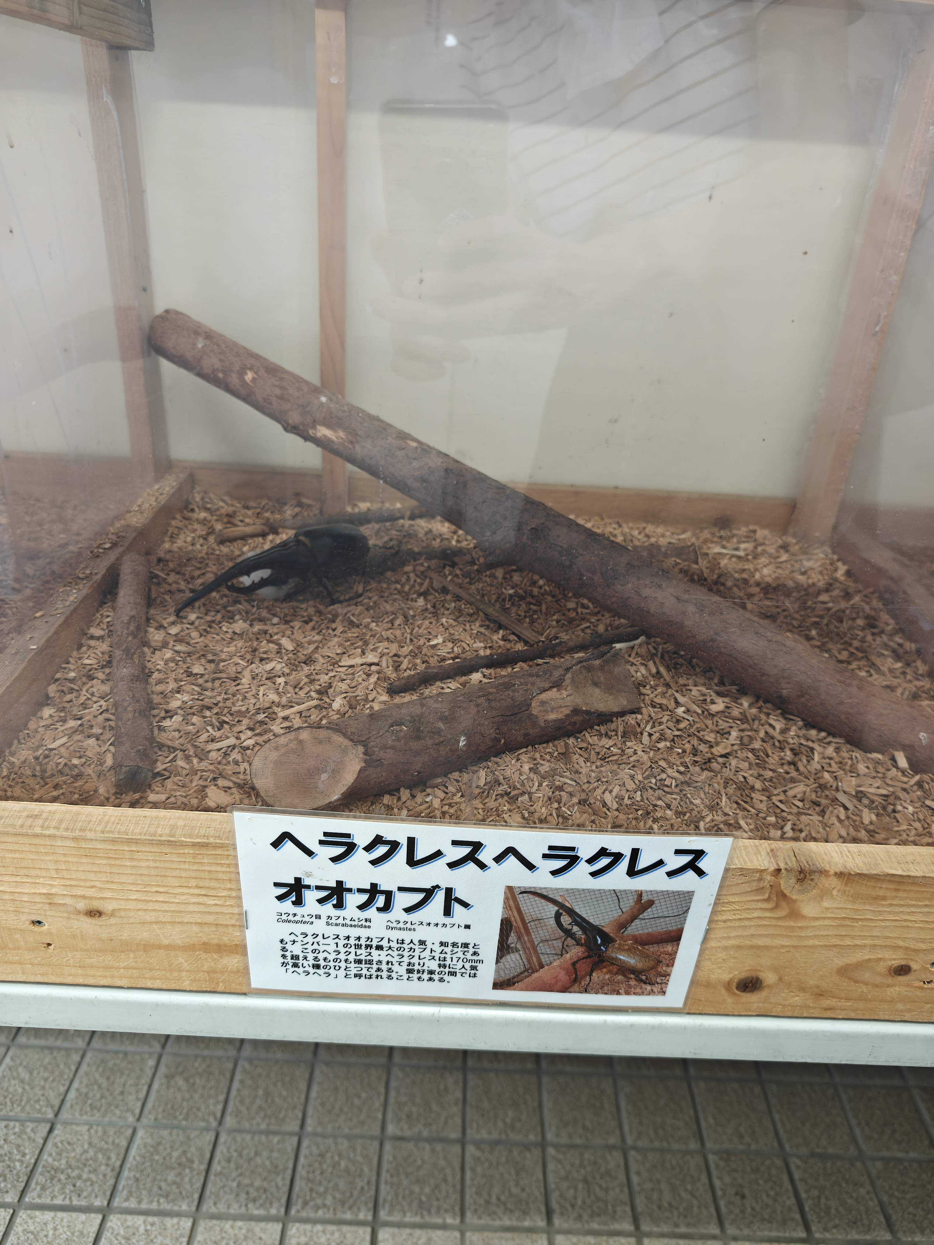 函館市熱帯植物園 生き物たち