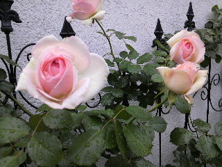 2012-04-20 08:39:26