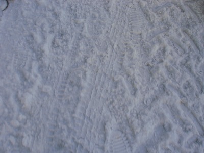 例会 009.jpg
