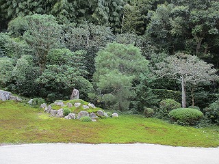 IMG_2743ss.jpg
