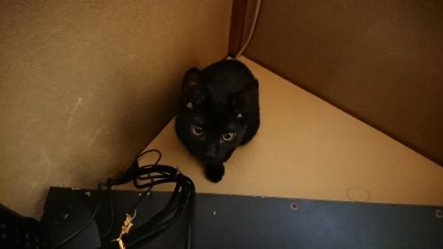 rblog-20181231233354-00.jpg