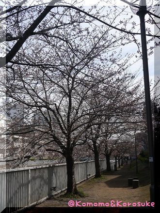 P1260936.jpg