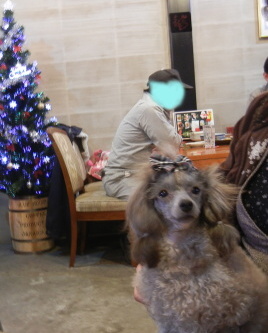 birthday 006.jpg
