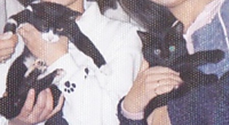 20120914_4.jpg
