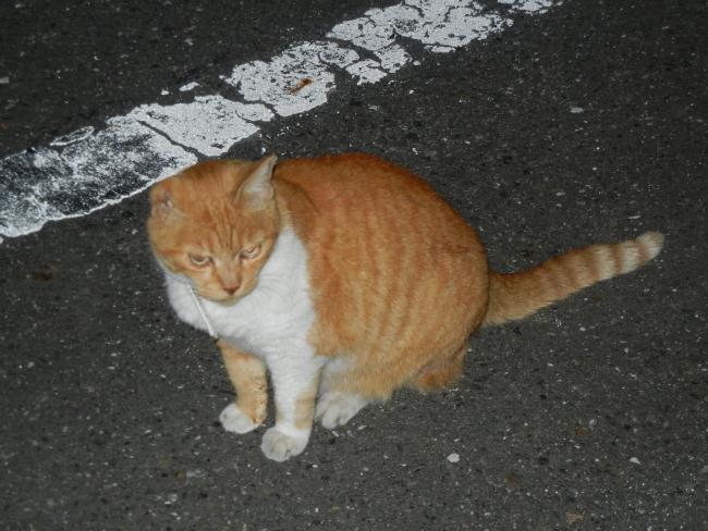 DSCN6271.JPG