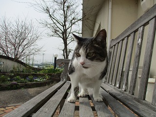 IMG_8683ss.jpg