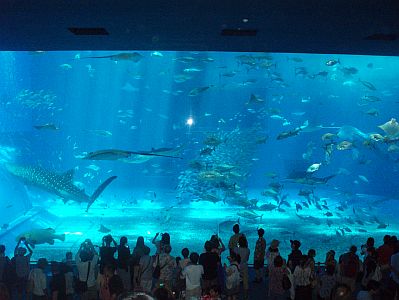 水族館