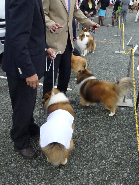 P1010356 - コピー.JPG