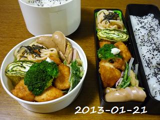 20130121a.JPG