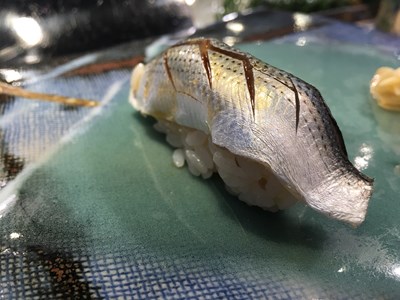 s-20160225 (9).jpg