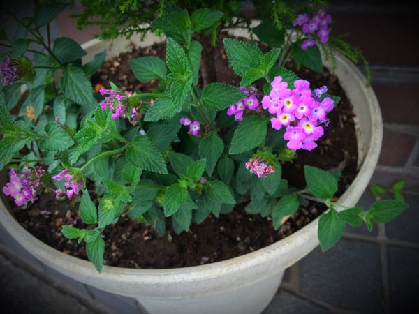 rblog-20160528224739-09.jpg