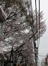 IMG_8214-2.jpg