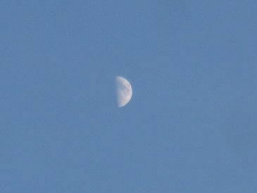 IMG_2495.JPG