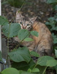 5DA_0703-15.jpg