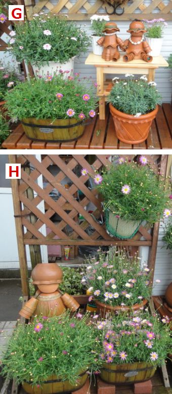 マーガレット 3