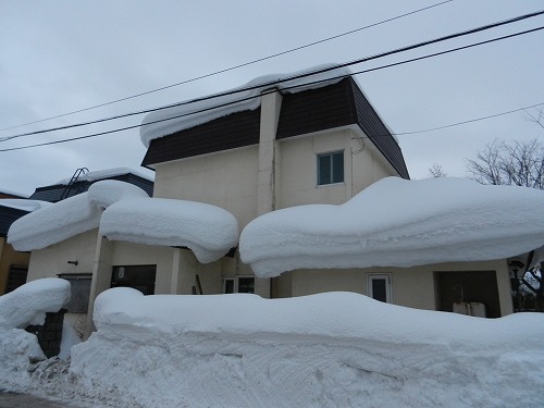 DSCN9704.jpg