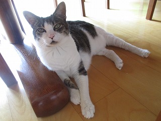 IMG_6766ss.jpg