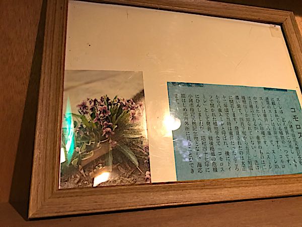 rblog-20181003175059-05.jpg