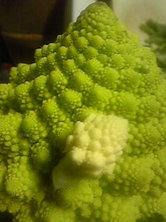 120229_160833.jpg