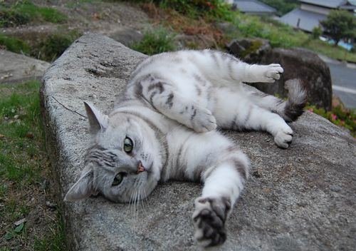 DSC_0121.JPG