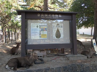 03.jpg