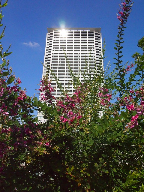 s-p2680.jpg