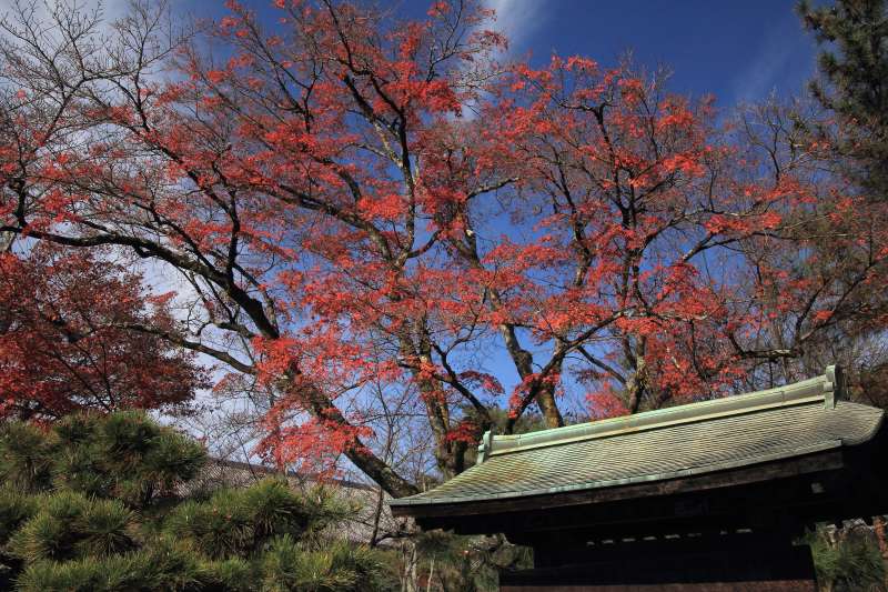 大覚寺_002.jpg