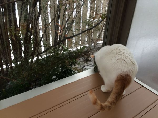 rblog-20150214154407-02.jpg