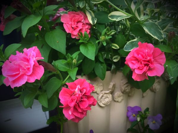 rblog-20160530191918-02.jpg