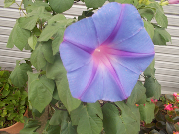 DSCN5766.jpg