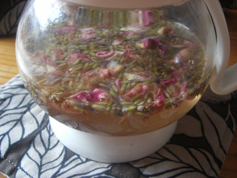 IMGP0031 (800x600).jpg