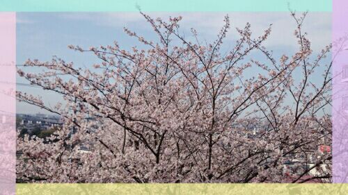 rblog-20160406222039-02.jpg