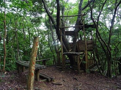 竜峰山登山！ | 酔いどれ日記（夢に向かって） - 楽天ブログ