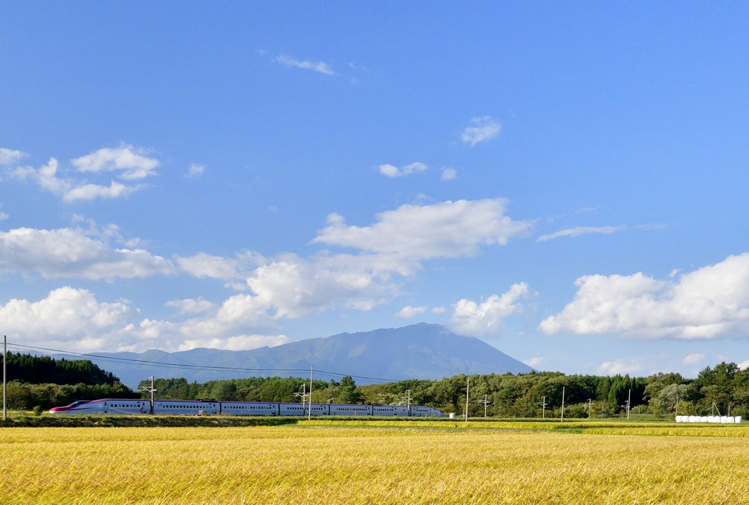 黄金色の田園と田沢湖線を撮りました ふう 出来るだけ書くぞ 楽天ブログ