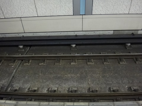 DSC08666.JPG