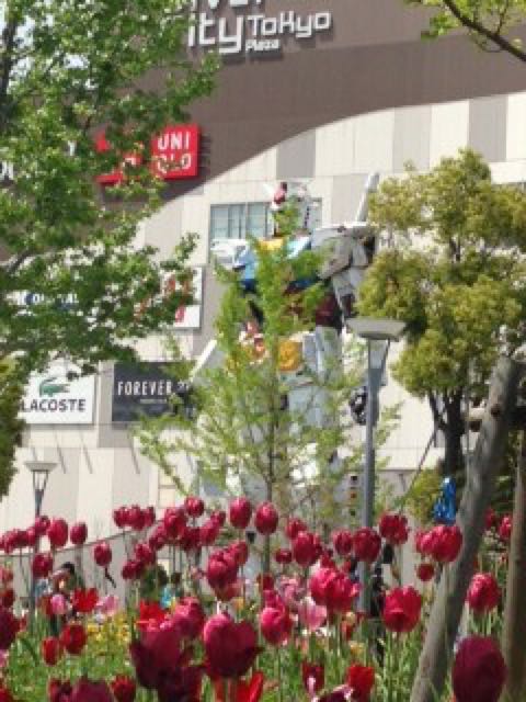 rblog-20150429234044-01.jpg
