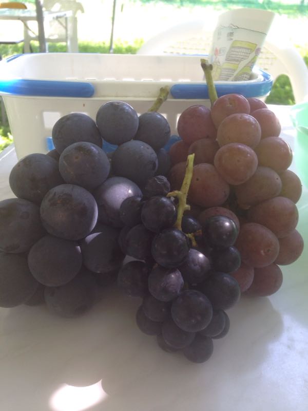 rblog-20150929224516-01.jpg