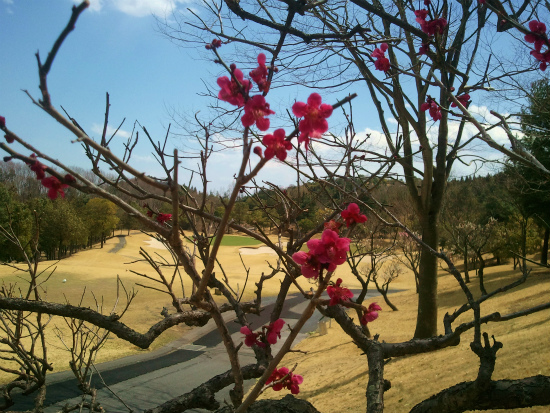 2012-04-04 12.27.55.jpg