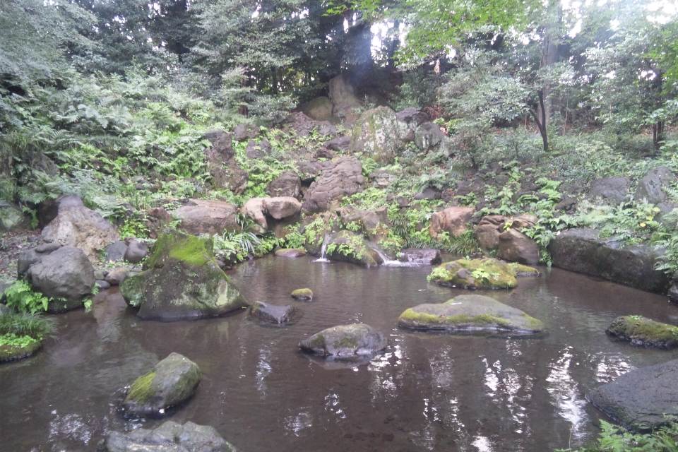 DSC_0061.JPG