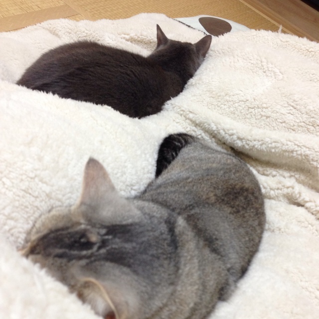rblog-20131117225459-00.jpg