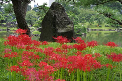 旧芝離宮恩賜庭園にて