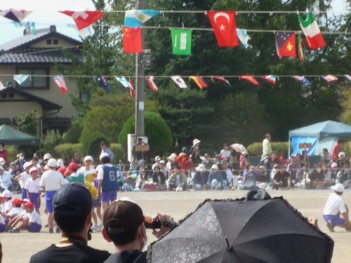 P1150485 (500x375).jpg