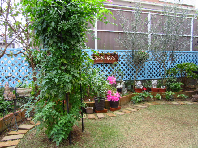 IMG_7424.JPG