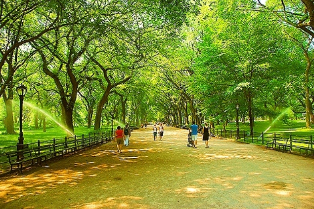 0823 centralpark02.jpg