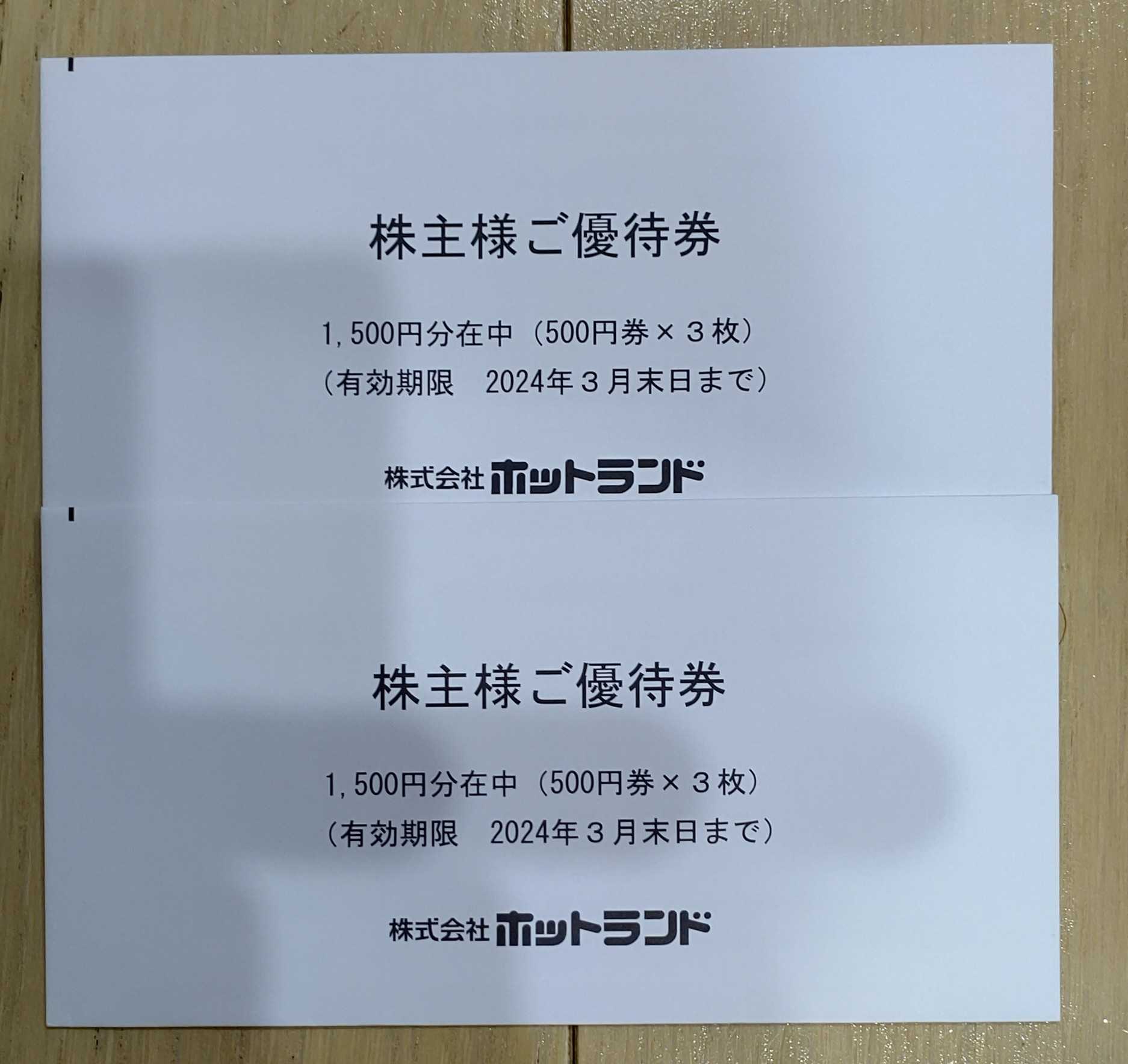 銀座 ホットランドの株主優待券:9分です。 | rpagrimensura.com.ar