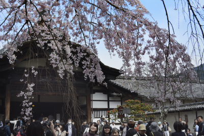 醍醐寺11