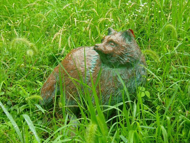 狸.jpg