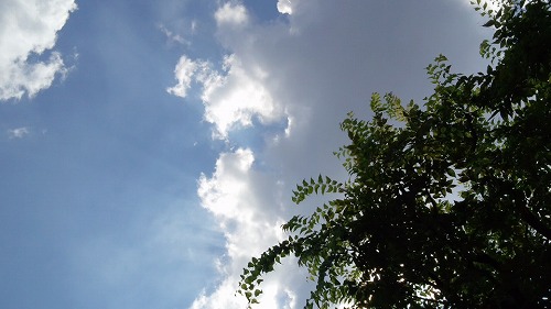 DCIM0666.jpg