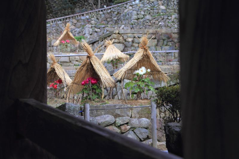 長谷寺_005.jpg